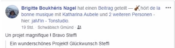brigitte-nagel-kommentar-facebook-steffi-kutil-wir-sind-europa
